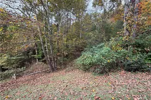 183 E Weaver Ford Rd, Grassy Creek, NC 28631 - Photo 35