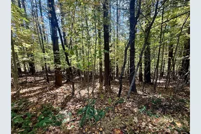 Lot 33 Woodland Valley Road, Jefferson, NC 28640 - Photo 9