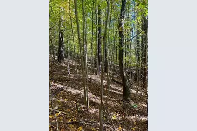 Lot 33 Woodland Valley Road, Jefferson, NC 28640 - Photo 15