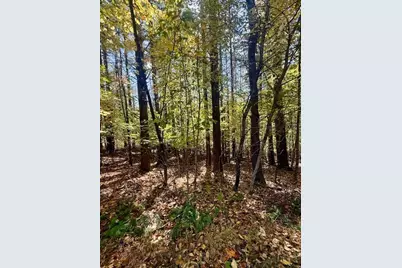 Lot 33 Woodland Valley Road, Jefferson, NC 28640 - Photo 11