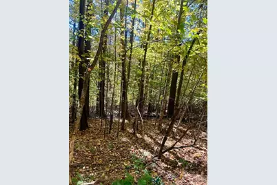 Lot 33 Woodland Valley Road, Jefferson, NC 28640 - Photo 13