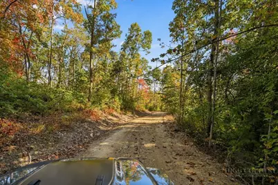 761 Clyde Cornett Road, Vilas, NC 28692 - Photo 47