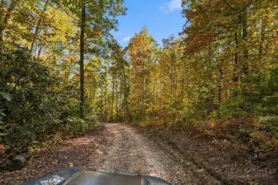 761 Clyde Cornett Road, Vilas, NC 28692 - Photo 45