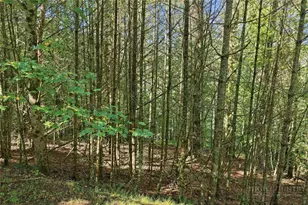 Lot 45 S Turkey Ridge Rd, Lansing, NC 28645 - Photo 1