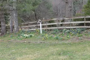 2081 Baker's Ridge Rd, Piney Creek, NC 28663 - Photo 47