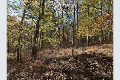 Tbd (Lot 40) River Front Drive, Jefferson, NC 28640 - Photo 5