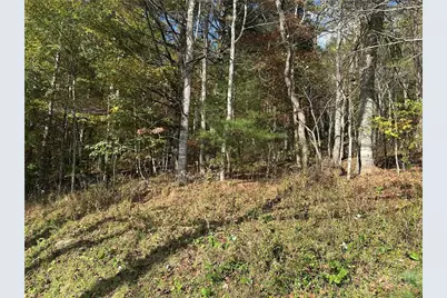 Tbd (Lot 40) River Front Drive, Jefferson, NC 28640 - Photo 3