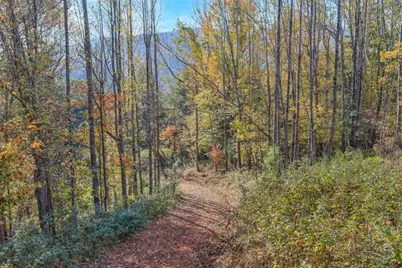 Tbd Staggs Creek Road, Warrensville, NC 28693 - Photo 19