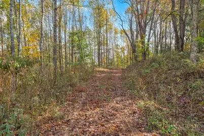 Tbd Staggs Creek Road, Warrensville, NC 28693 - Photo 15