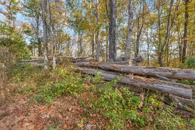 Tbd Staggs Creek Road, Warrensville, NC 28693 - Photo 25