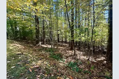 Lot 34 Woodland Valley Road, Jefferson, NC 28640 - Photo 11