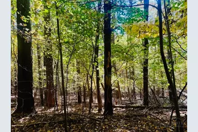 Lot 34 Woodland Valley Road, Jefferson, NC 28640 - Photo 5