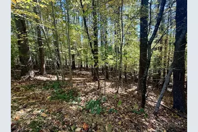 Lot 34 Woodland Valley Road, Jefferson, NC 28640 - Photo 9
