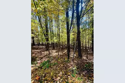 Lot 34 Woodland Valley Road, Jefferson, NC 28640 - Photo 13