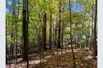 Lot 34 Woodland Valley Road, Jefferson, NC 28640 - Photo 3