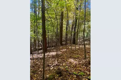 Lot 34 &33 Woodland Valley Road, Jefferson, NC 28640 - Photo 17