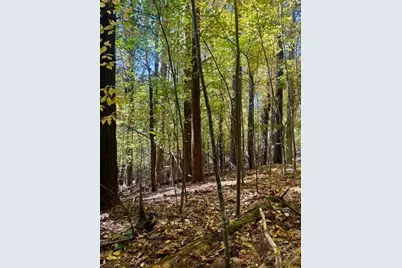 Lot 34 &33 Woodland Valley Road, Jefferson, NC 28640 - Photo 19