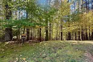 Lot 34 &33 Woodland Valley Rd, Jefferson, NC 28640 - Photo 1