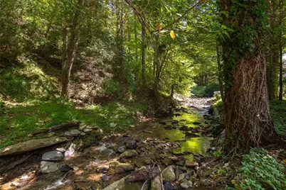 278 Cobble Creek, Boone, NC 28607 - Photo 9