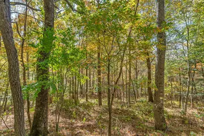 Lot 4 Goshen Drive, Boone, NC 28607 - Photo 5