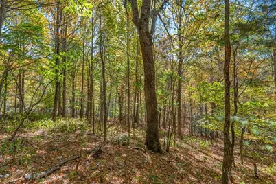 Lot 4 Goshen Drive, Boone, NC 28607 - Photo 7