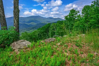 Tbd Forest Trail, Blowing Rock, NC 28605 - Photo 5