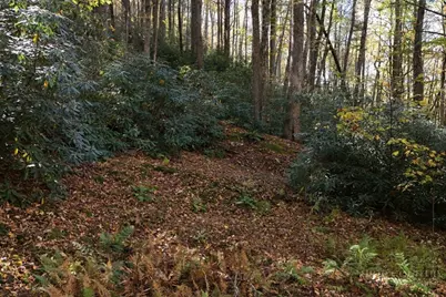 Lots 1-3 Kona Lane, Boone, NC 28607 - Photo 3