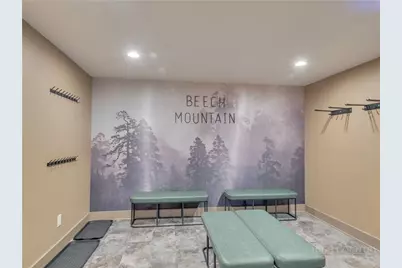216 Greenbriar Road, Beech Mountain, NC 28604 - Photo 17