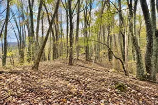 Tbd Hwy 88W Hwy, Warrensville, NC 28693 - Photo 1