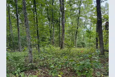 Lot 11 Olde Stone Ridge, Crumpler, NC 28617 - Photo 9