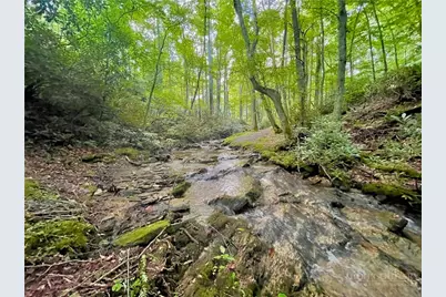 Tbd Thunderhill Trail, Blowing Rock, NC 28605 - Photo 39
