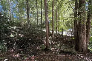 127 S Slope Loop, Banner Elk, NC 28604 - Photo 27