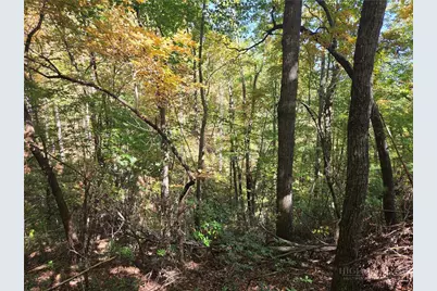 29 Elk Ridge Road, Ferguson, NC 28624 - Photo 23