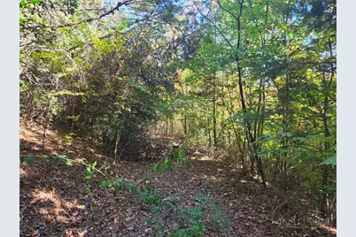 29 Elk Ridge Road, Ferguson, NC 28624 - Photo 3