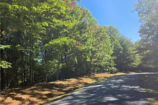 29 Elk Ridge Rd, Ferguson, NC 28624 - Photo 1