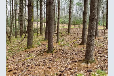 Lot #25 Cedar Ridge Drive, Todd, NC 28684 - Photo 7