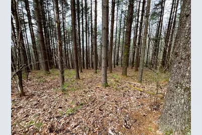 Lot #25 Cedar Ridge Drive, Todd, NC 28684 - Photo 5