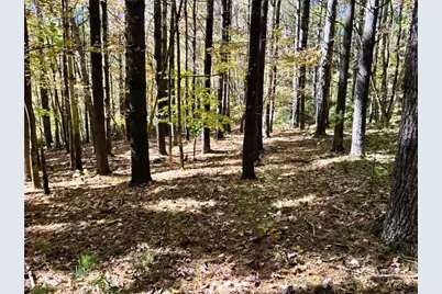 Lot #25 Cedar Ridge Drive, Todd, NC 28684 - Photo 3