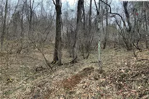 Lot 67 N Hidden Mountain Ln, Crumpler, NC 28617 - Photo 1