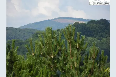 Tbd Holly Hill Drive #14, Sparta, NC 28675 - Photo 1