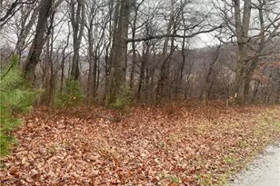 Lot #7 Tom's Knob, Sparta, NC 28675 - Photo 1
