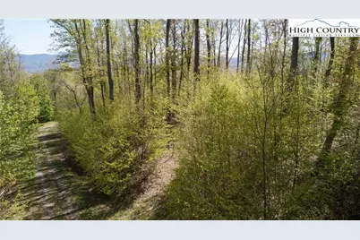 Tbd Olde Forest #57 Lane, Banner Elk, NC 28604 - Photo 1