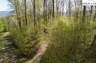 Tbd Olde Forest #57 Ln, Banner Elk, NC 28604 - Photo 1