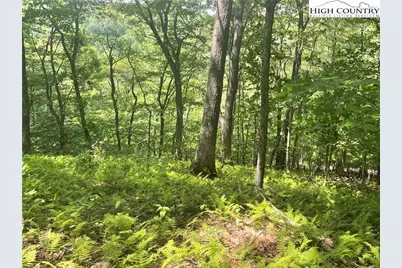 Lot 66 Bob Timberlake Drive, Boone, NC 28607 - Photo 1