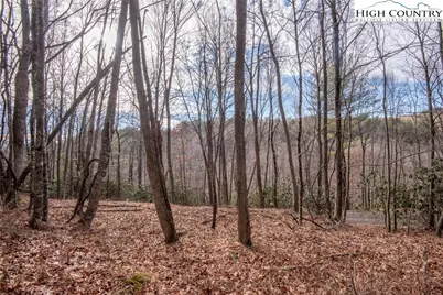 Tbd Ridge Run, West Jefferson, NC 28694 - Photo 1