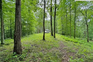 149 Painter Rd, Banner Elk, NC 28604 - Photo 1