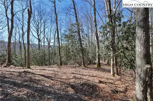 Lots 47 & 48 Abaco Dr, Vilas, NC 28692 - Photo 1