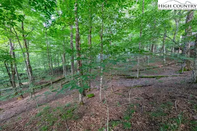 907 Charter Hills Road, Beech Mountain, NC 28604 - Photo 1
