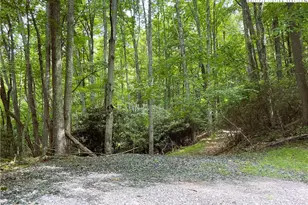 107 Maplewood Ln, Beech Mountain, NC 28604 - Photo 1