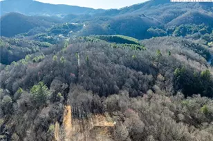 Tbd Staggs Creek Rd, Warrensville, NC 28693 - Photo 1